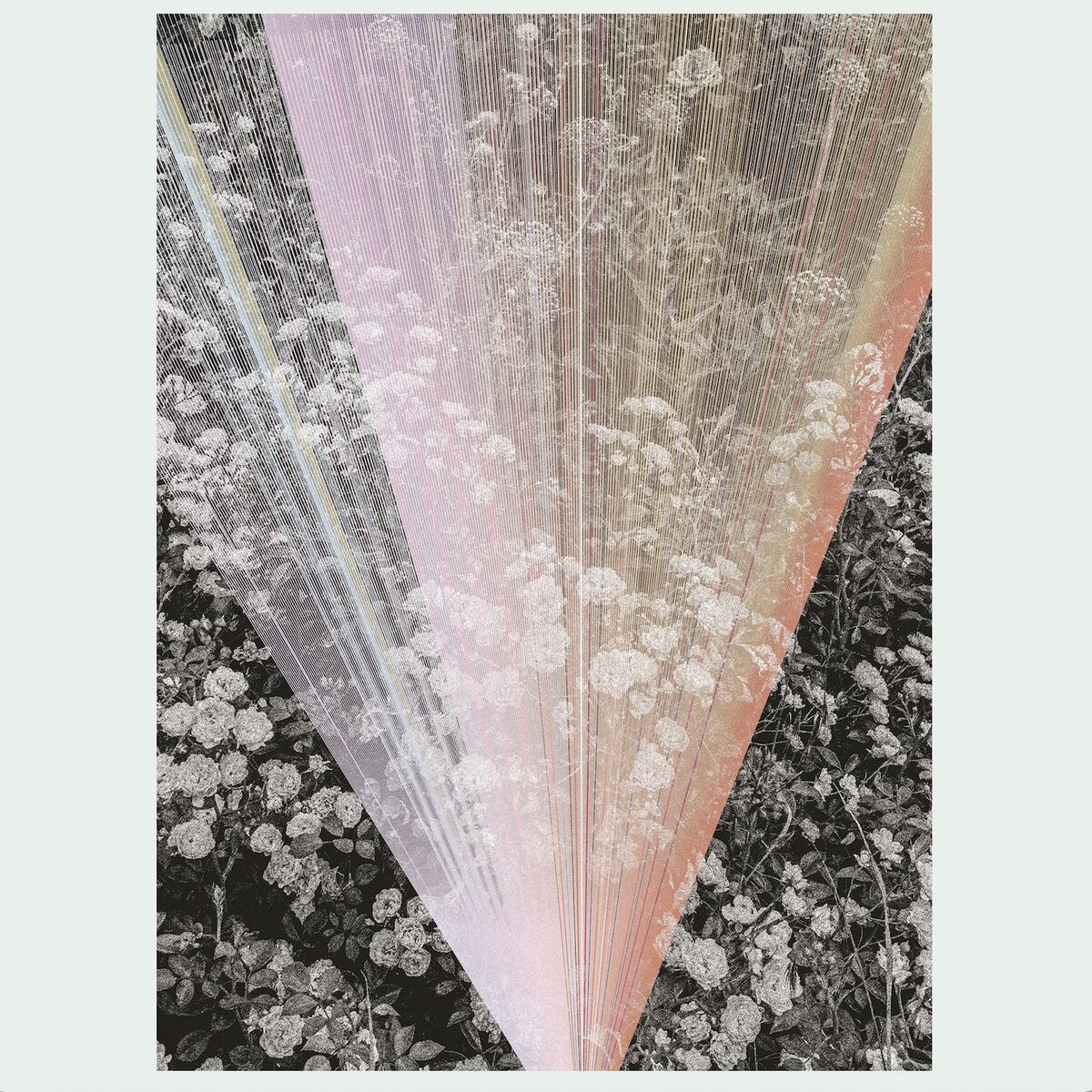Album cover of Subtle Bodies