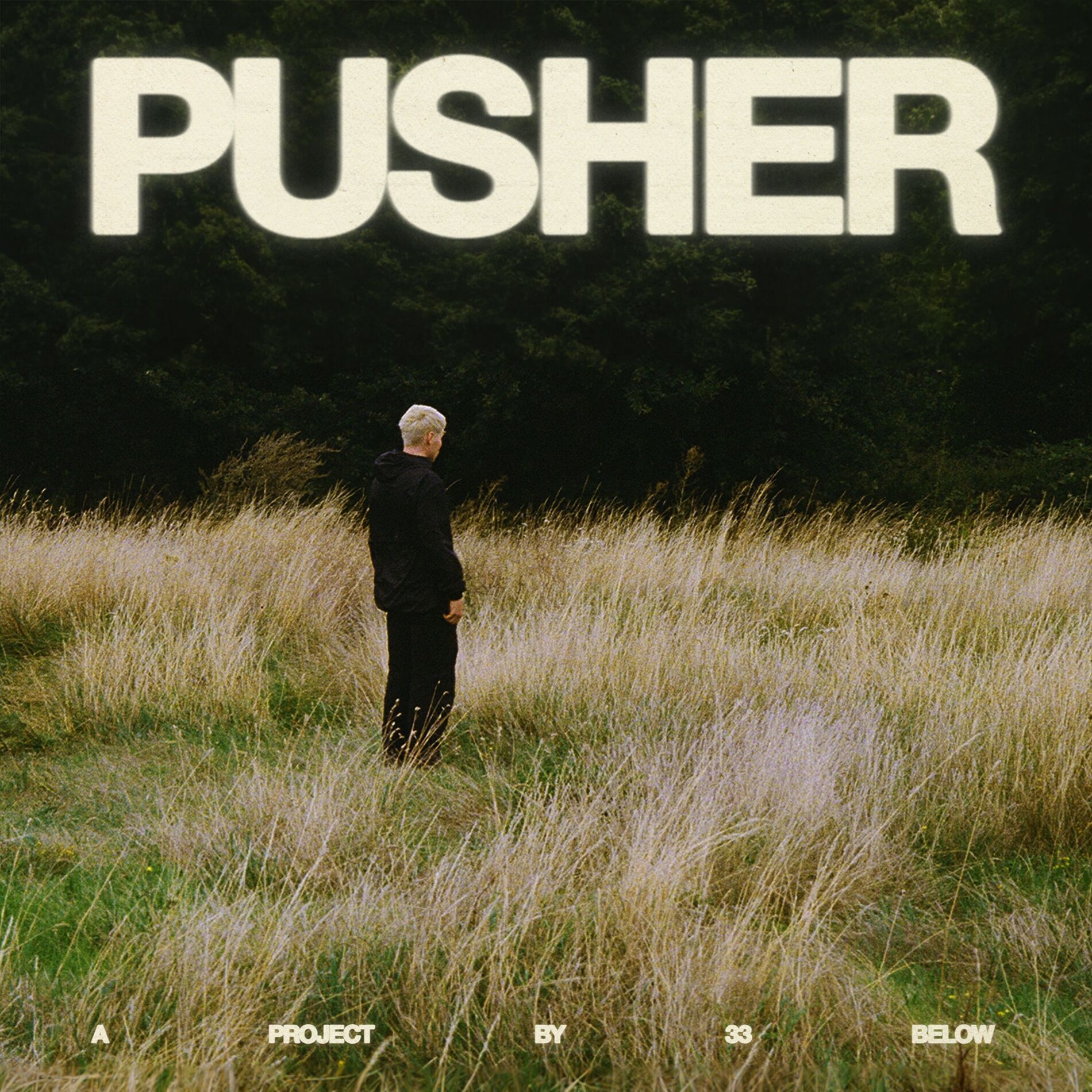 Album cover of PUSHER