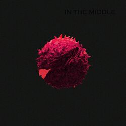 Cover of In The Middle