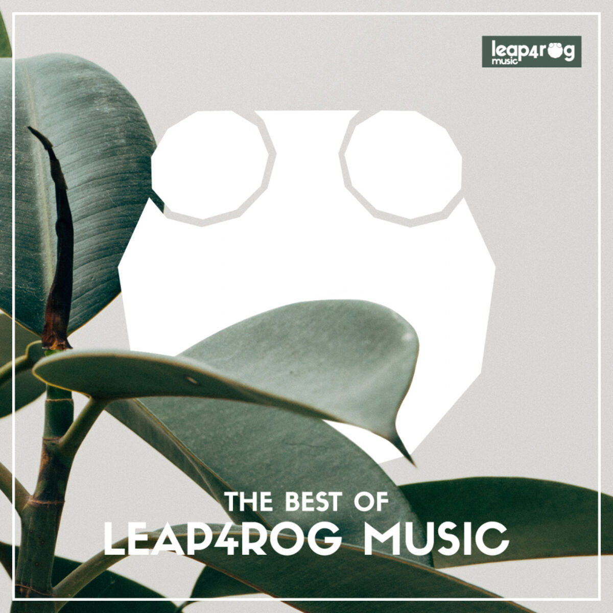 Album cover of The Best Of Leap4rog Music