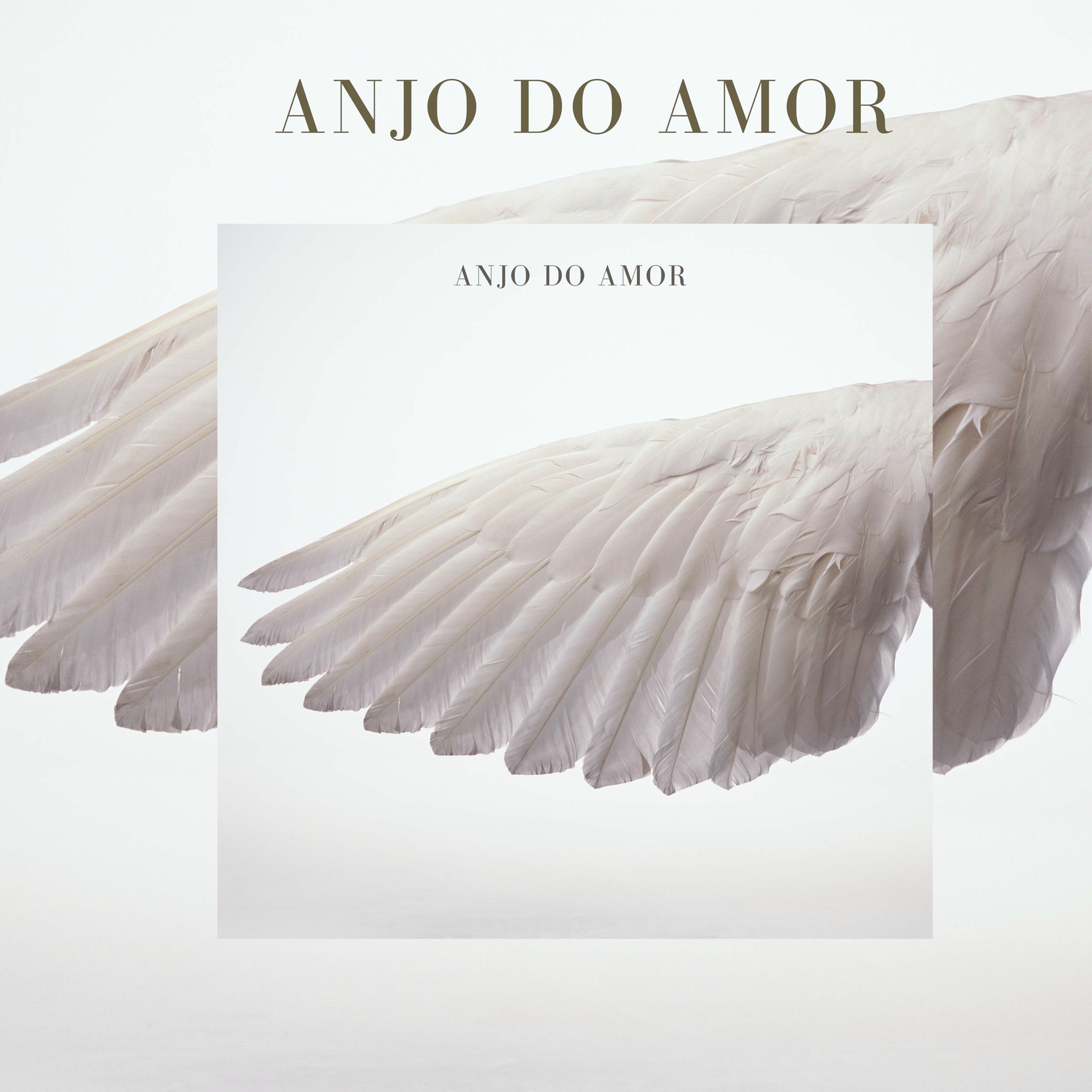 Album cover of Anjo do Amor