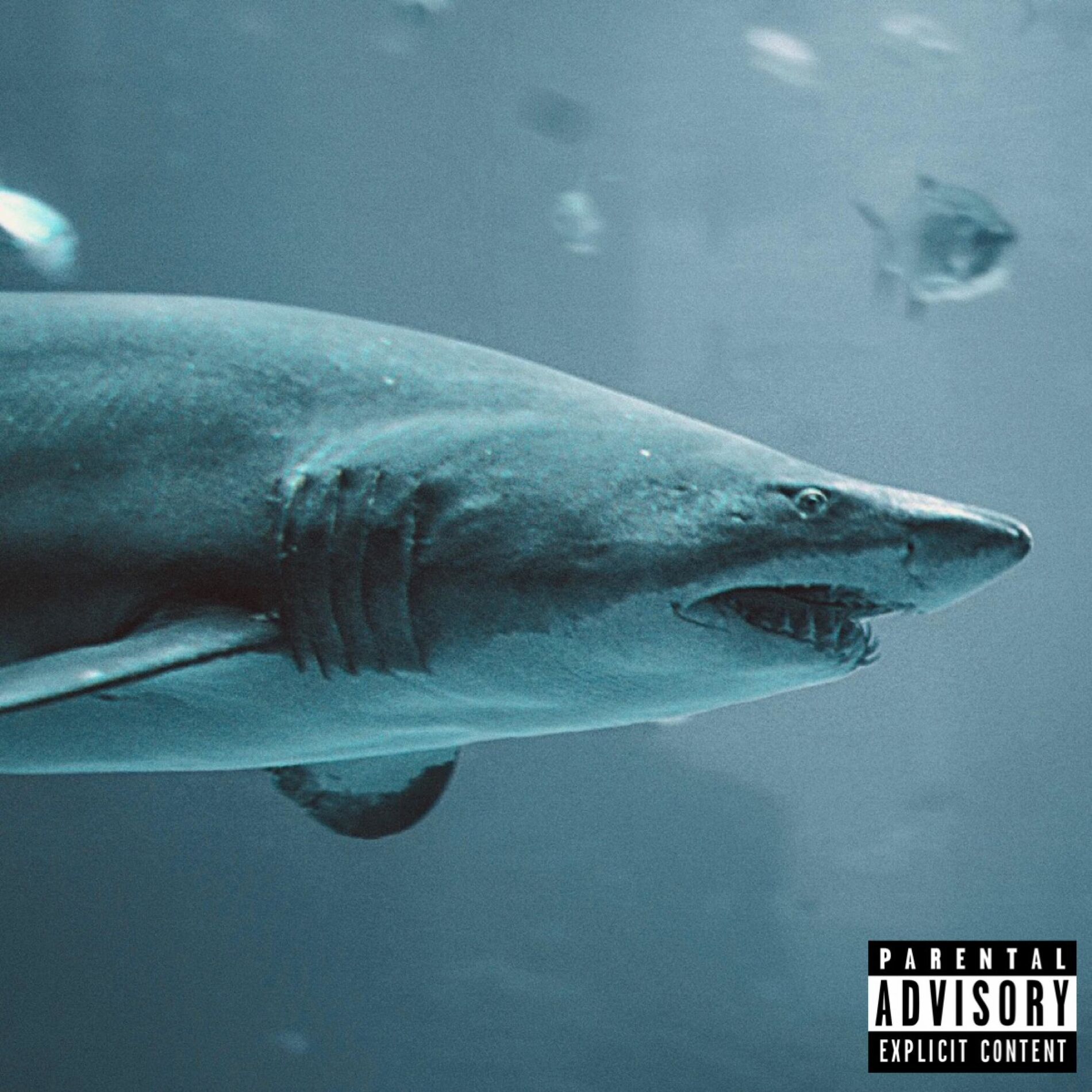 Album cover of House Rules (feat. Rick Brown & Anonymuz)