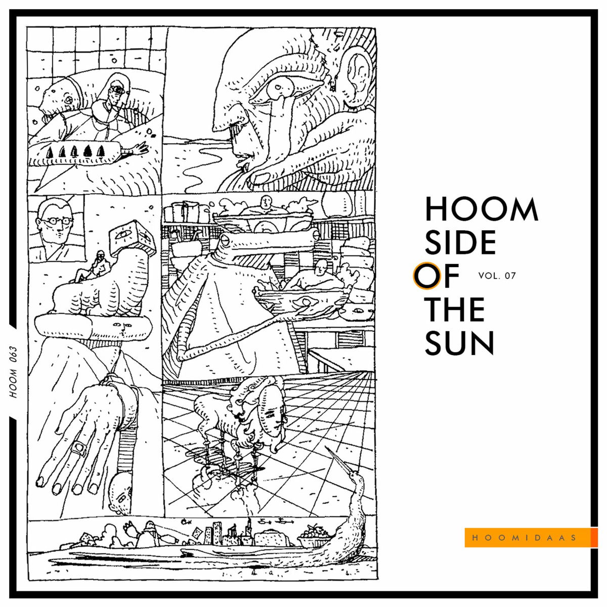 Album cover of Fly Fox