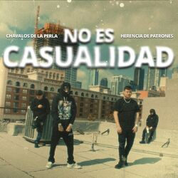 Cover of No Es Casualidad