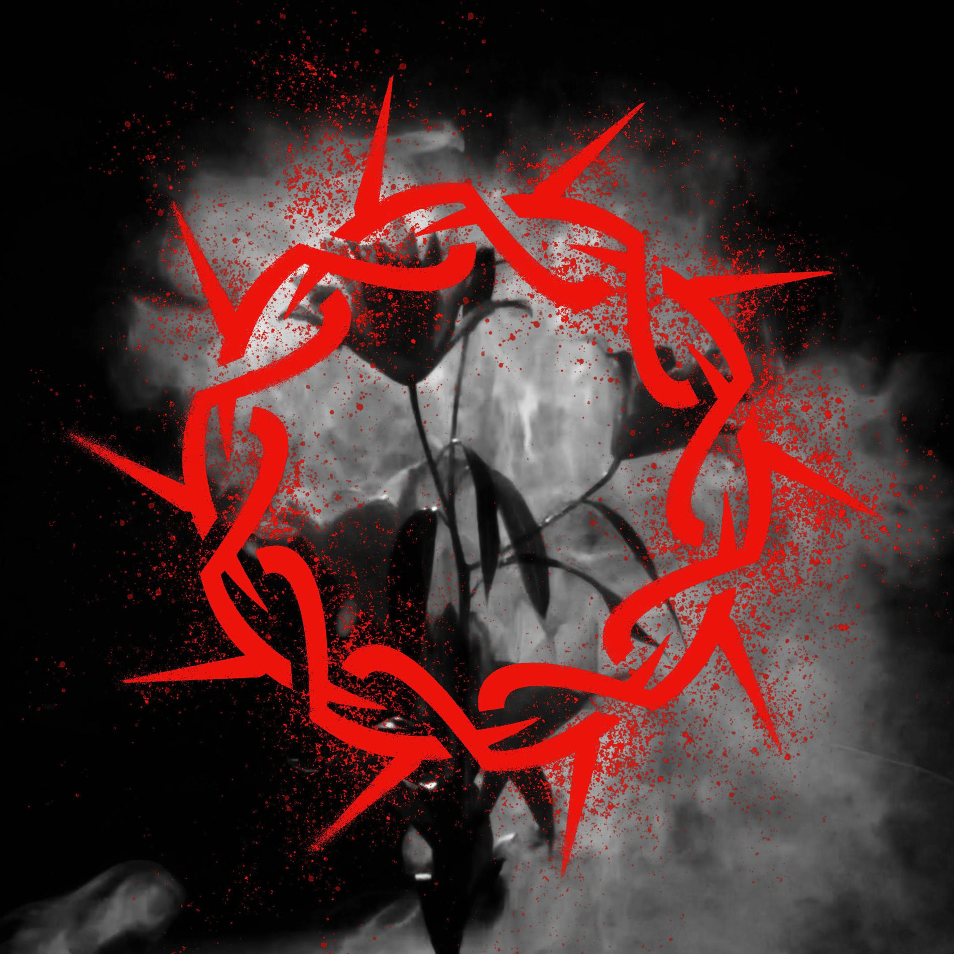 Album cover of sorry