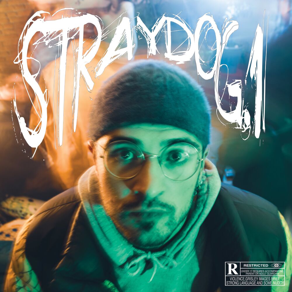 Picture of STRAYDOG.1