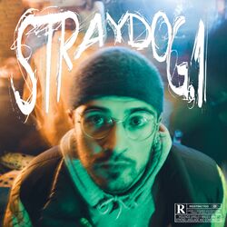 Cover of STRAYDOG.1
