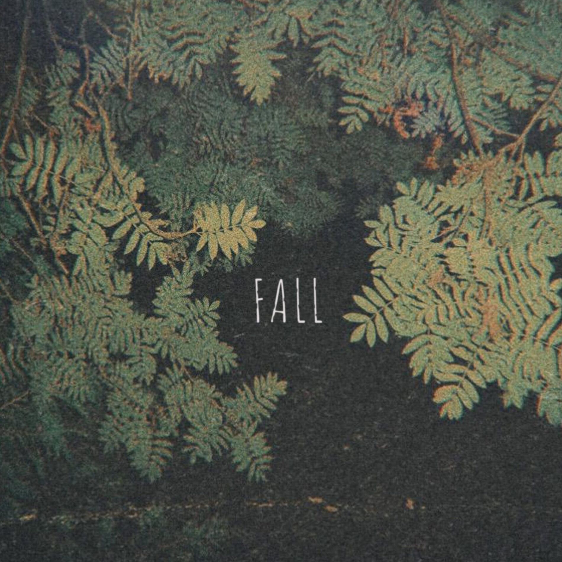 Album cover of Grain
