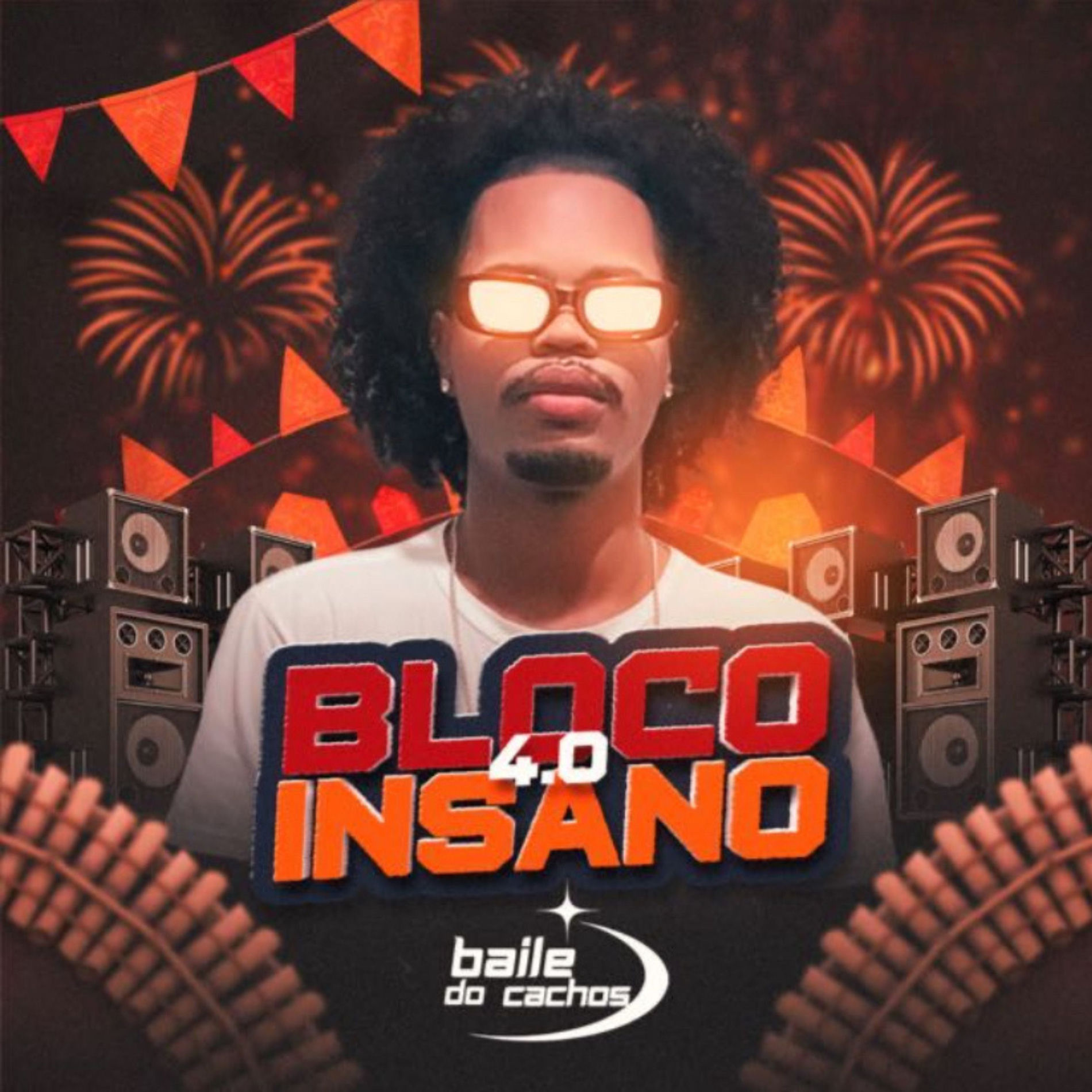 Album cover of Bloco Insano 4.0