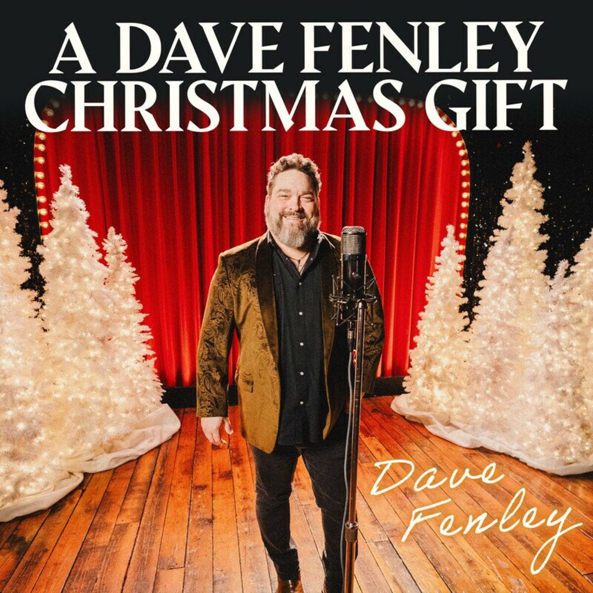Album cover of A Dave Fenley Christmas Gift