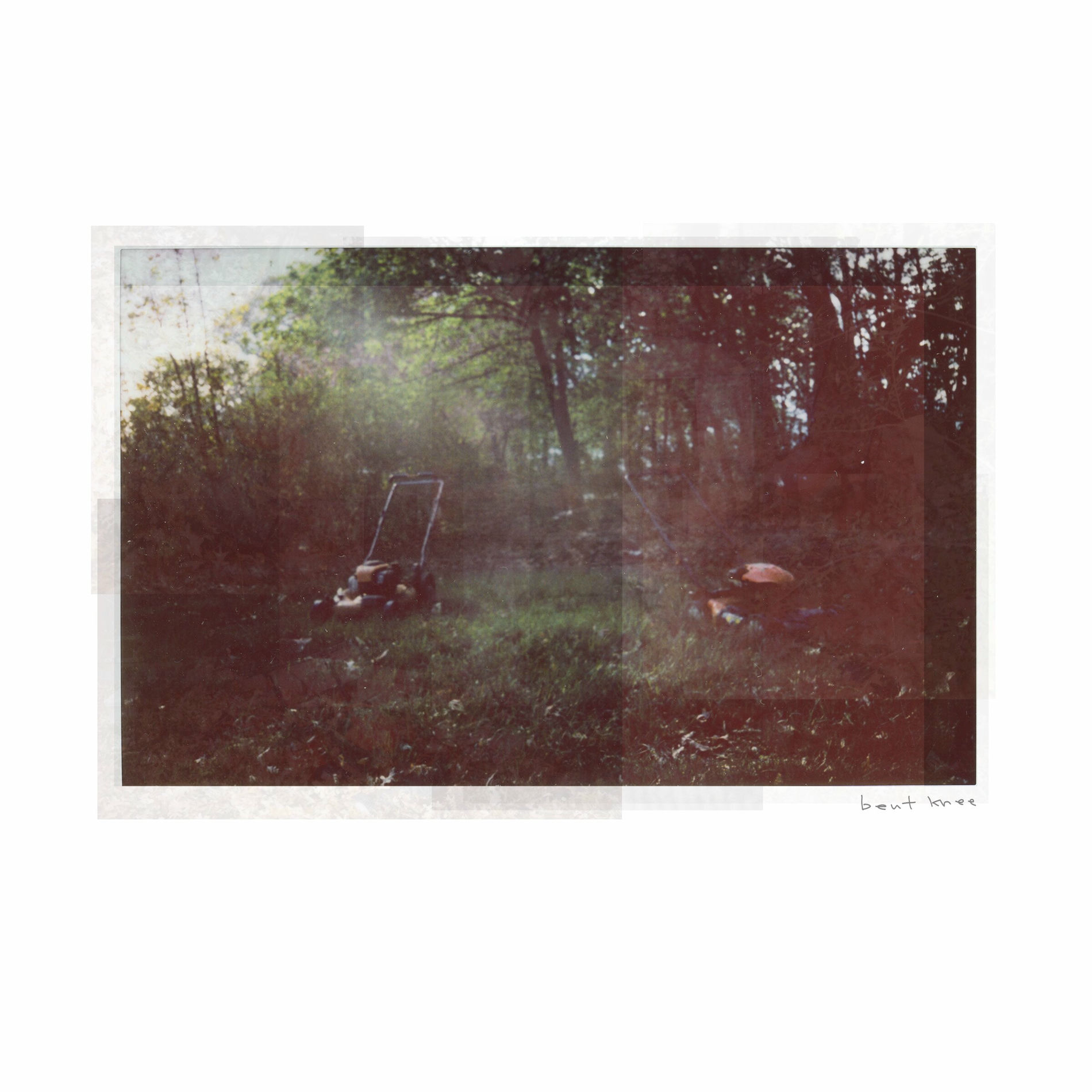 Album cover of Lawnmower