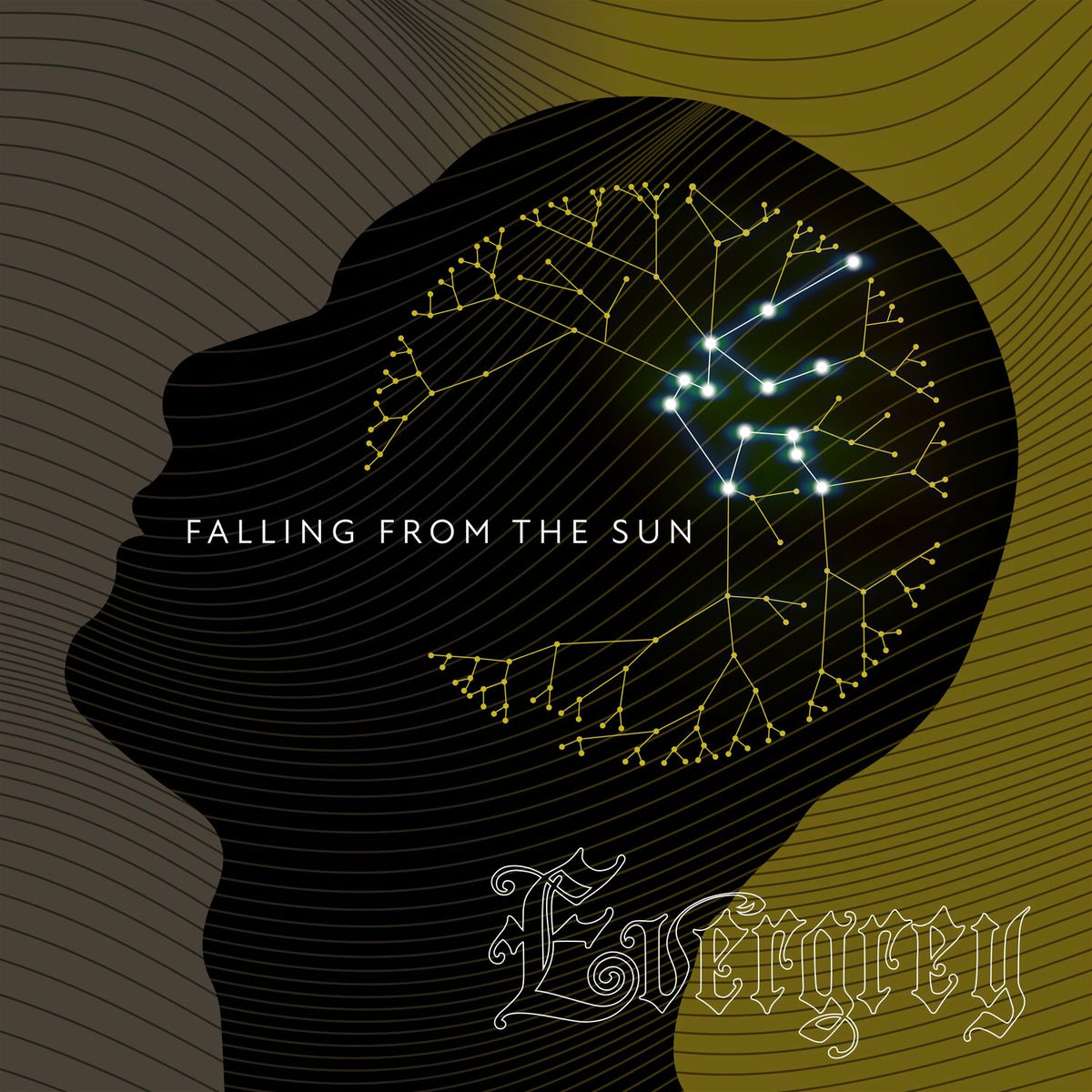 Album cover of Falling From The Sun