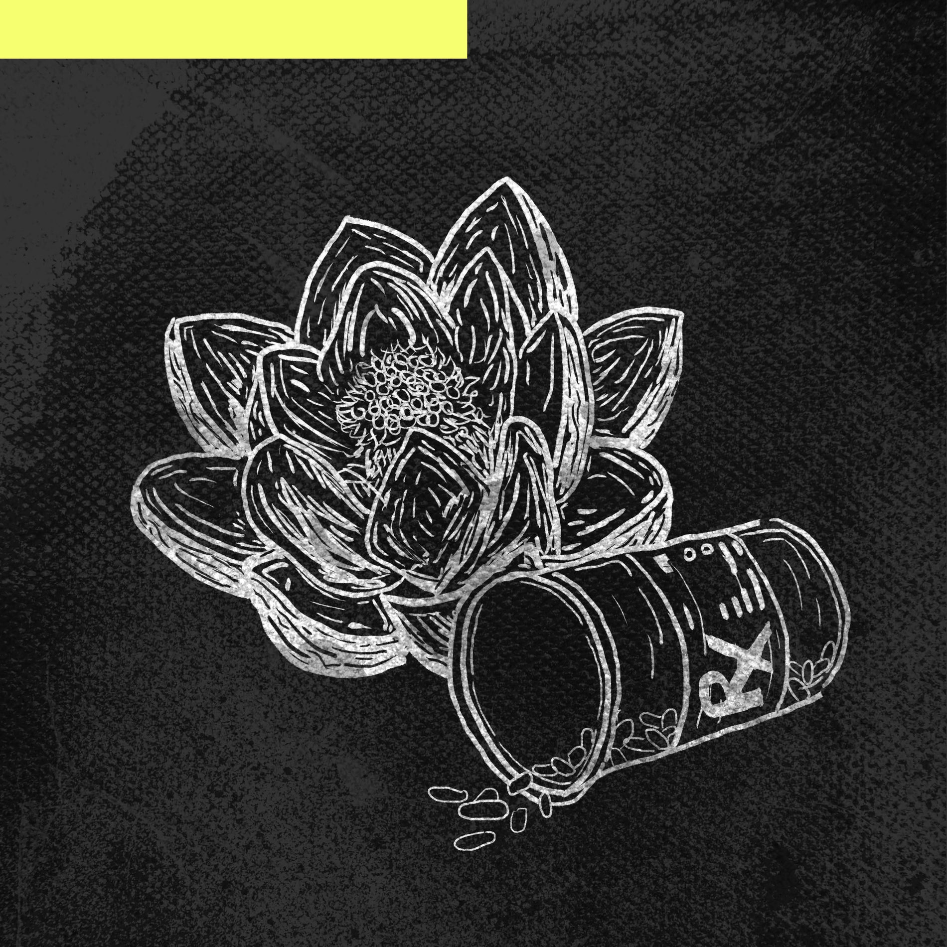 Album cover of Lotus