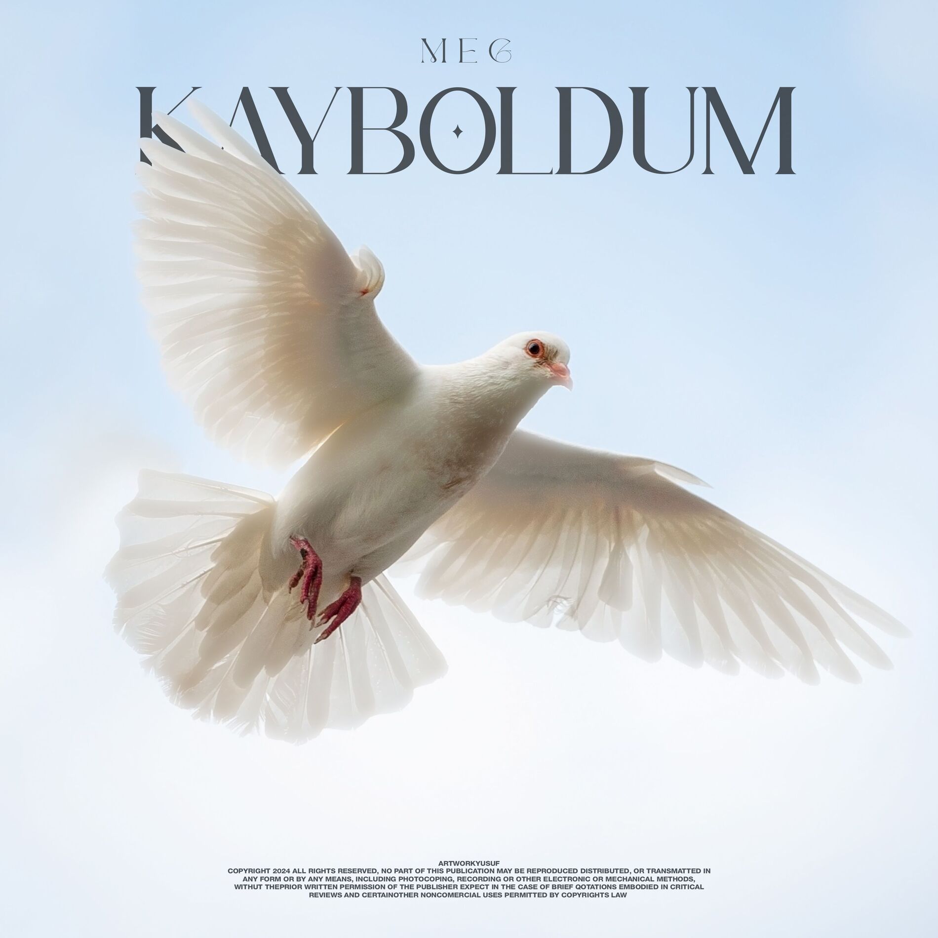 Album cover of Kayboldum