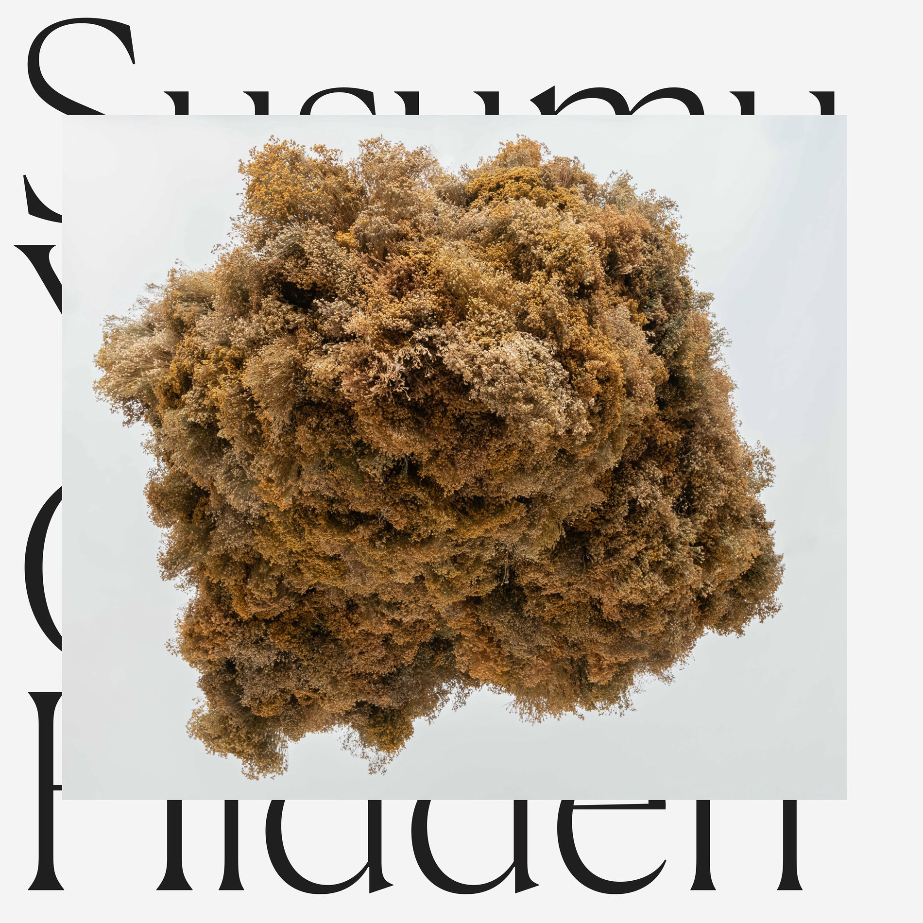 Album cover of Cloud Hidden