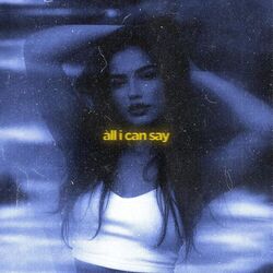 all i can say (slowed & reeverb)