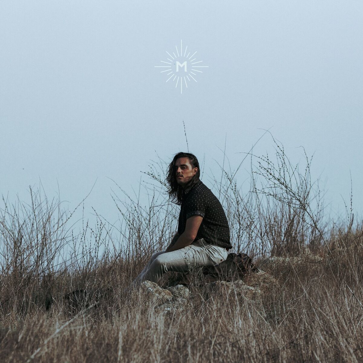 Album cover of Wolf