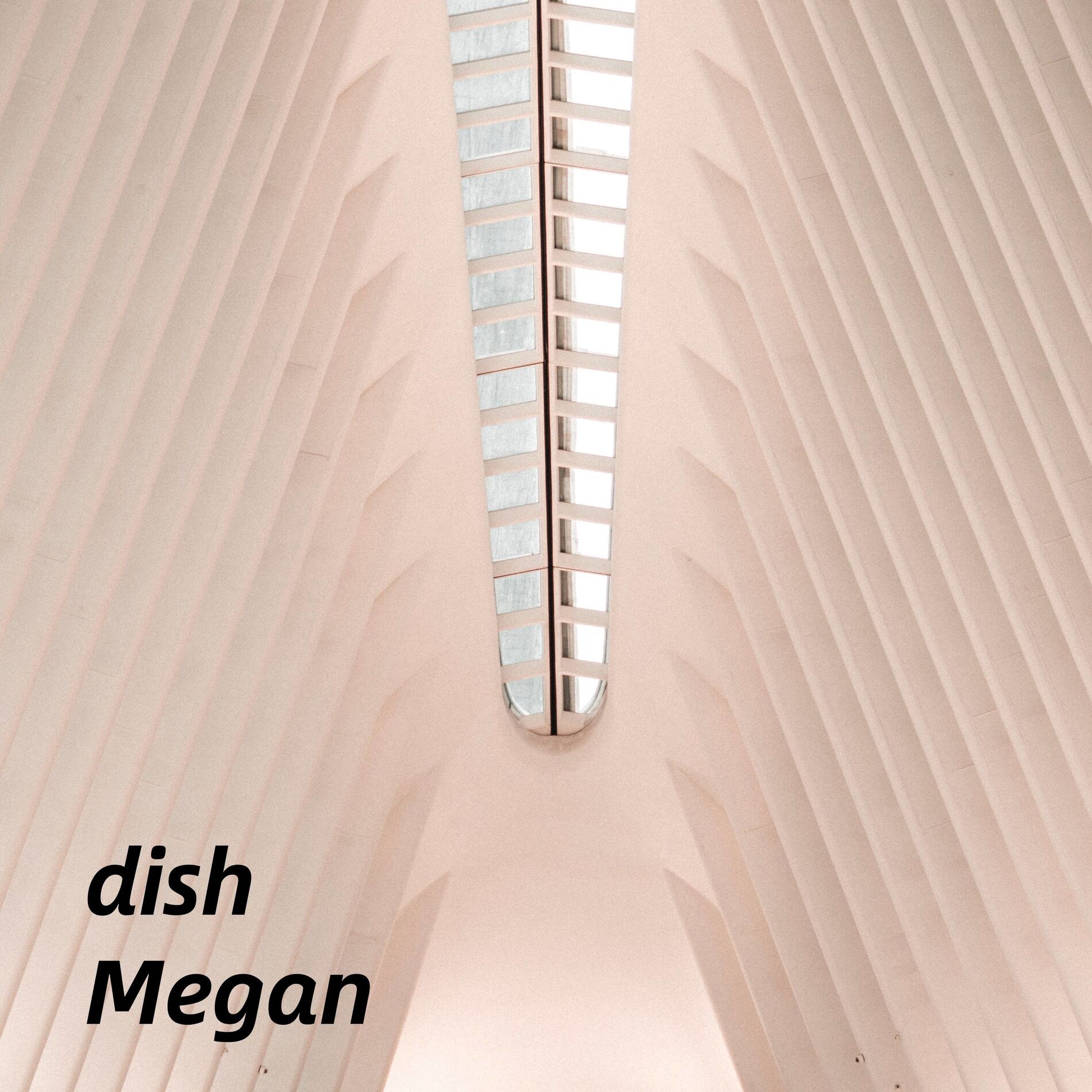 Album cover of dish