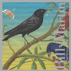 Cover of Starlings