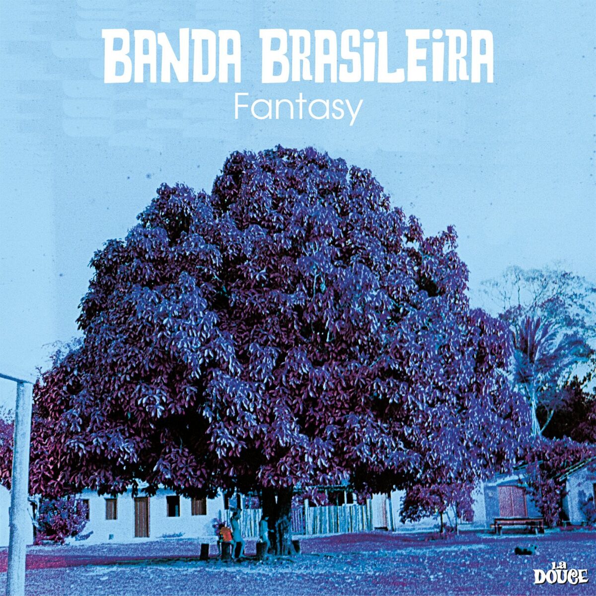 Album cover of Fantasy