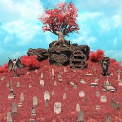 Cover of Cimitir