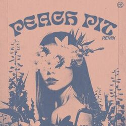 Cover of Peach Pit (Louis La Roche Remix)