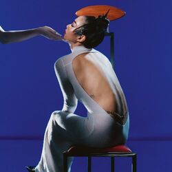 Cover of Hold The Girl
