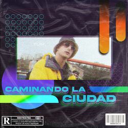 Cover of Caminando la Ciudad