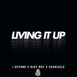 Cover of Living It Up