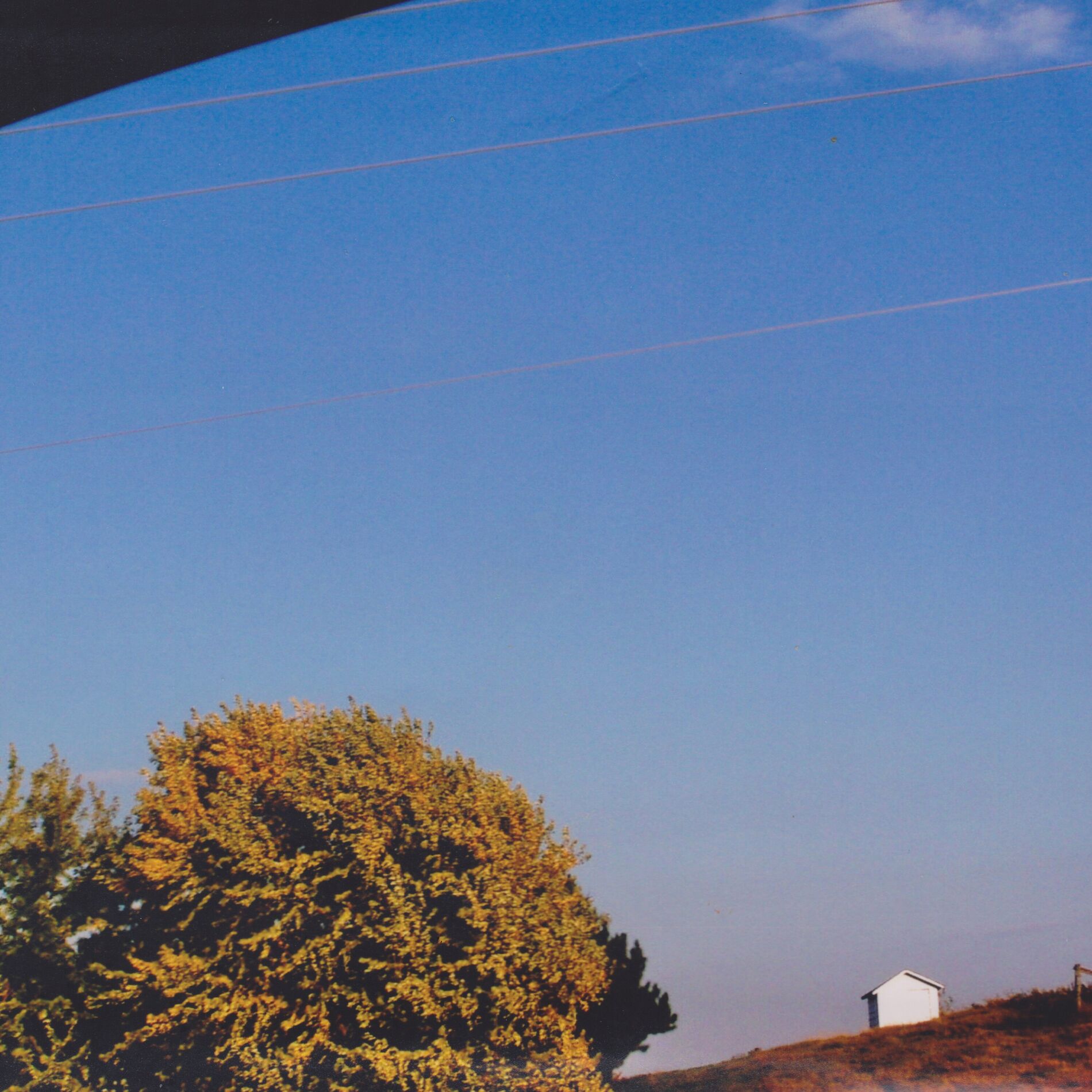 Album cover of frail sail