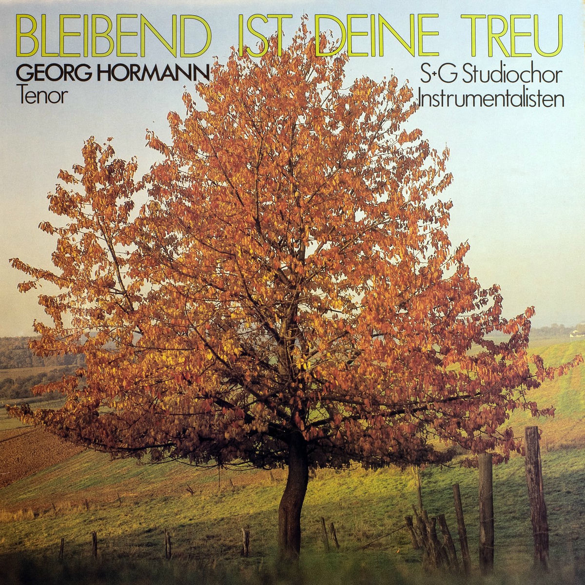 Album cover of Bleibend ist deine Treu