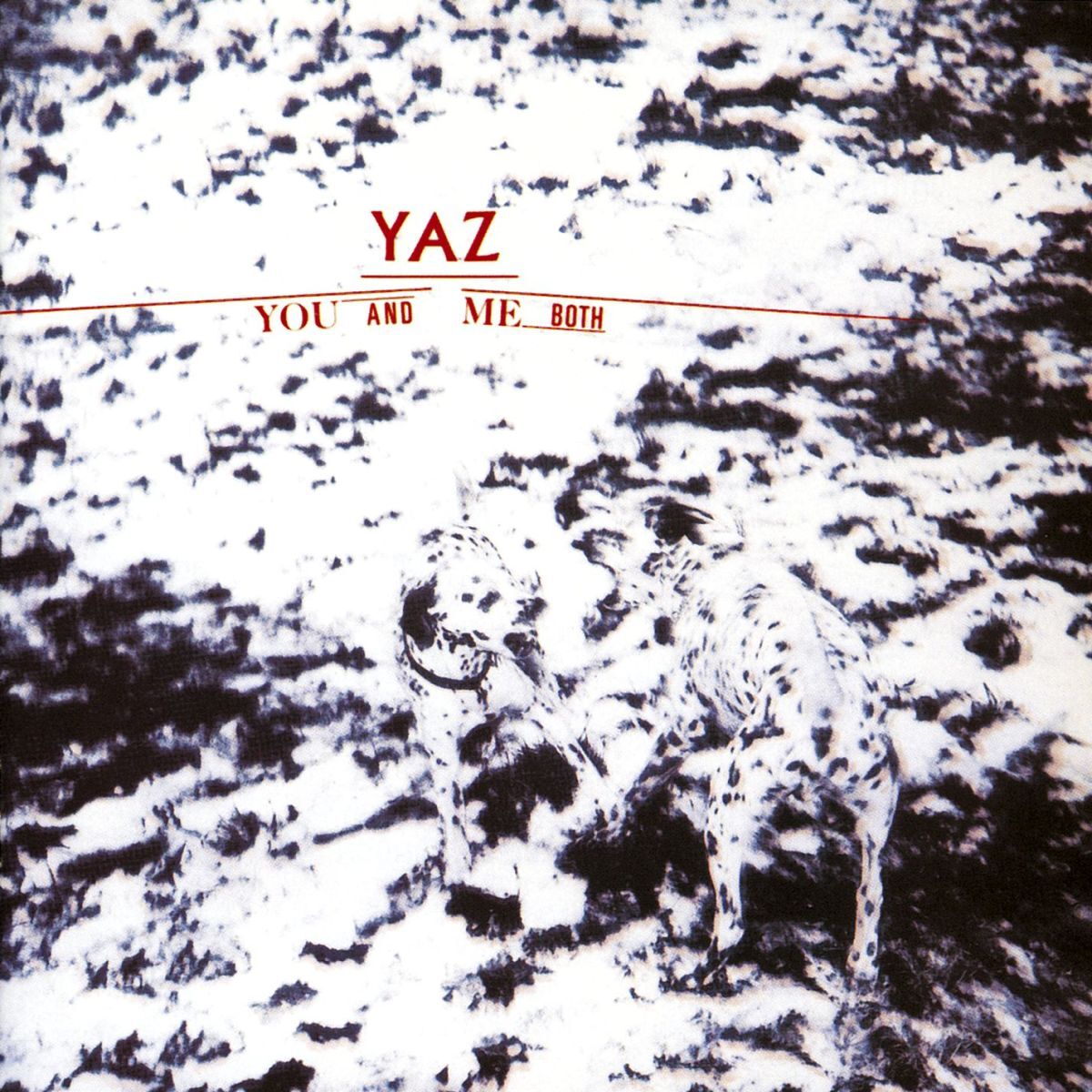 Album cover of You And Me Both