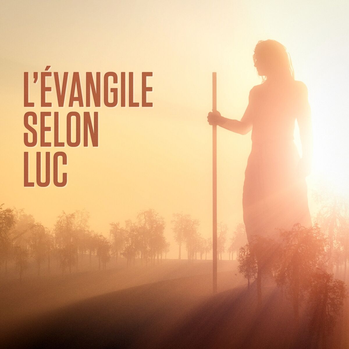 Album cover of L'évangile selon Luc : Le Nouveau Testament, 3ème partie