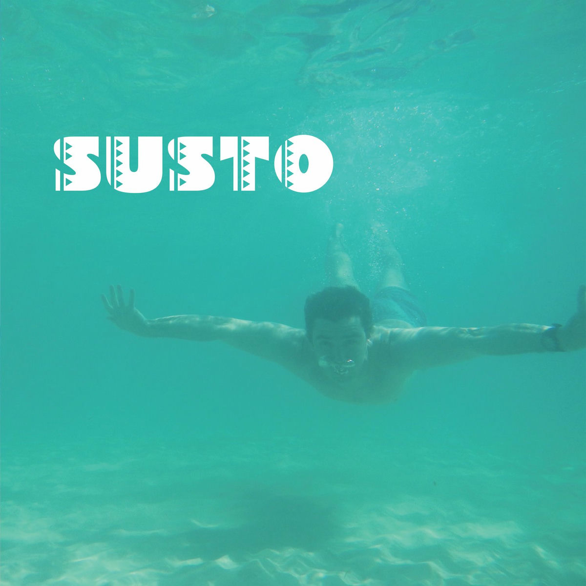 Album cover of Susto