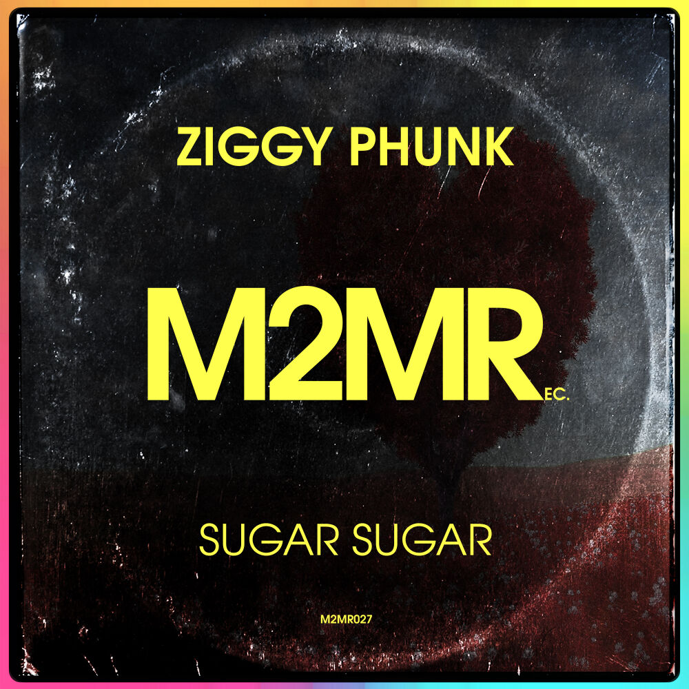 Picture of Sugar Sugar