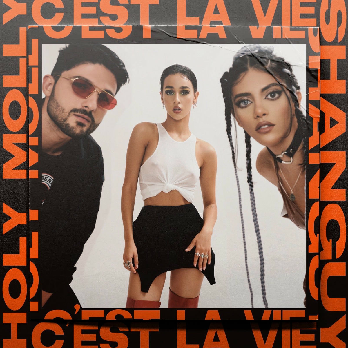 Album cover of C'est la vie