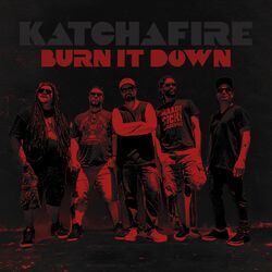 Cover of Burn It Down