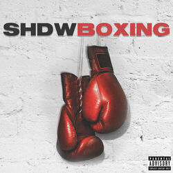 Cover of Shdwboxing