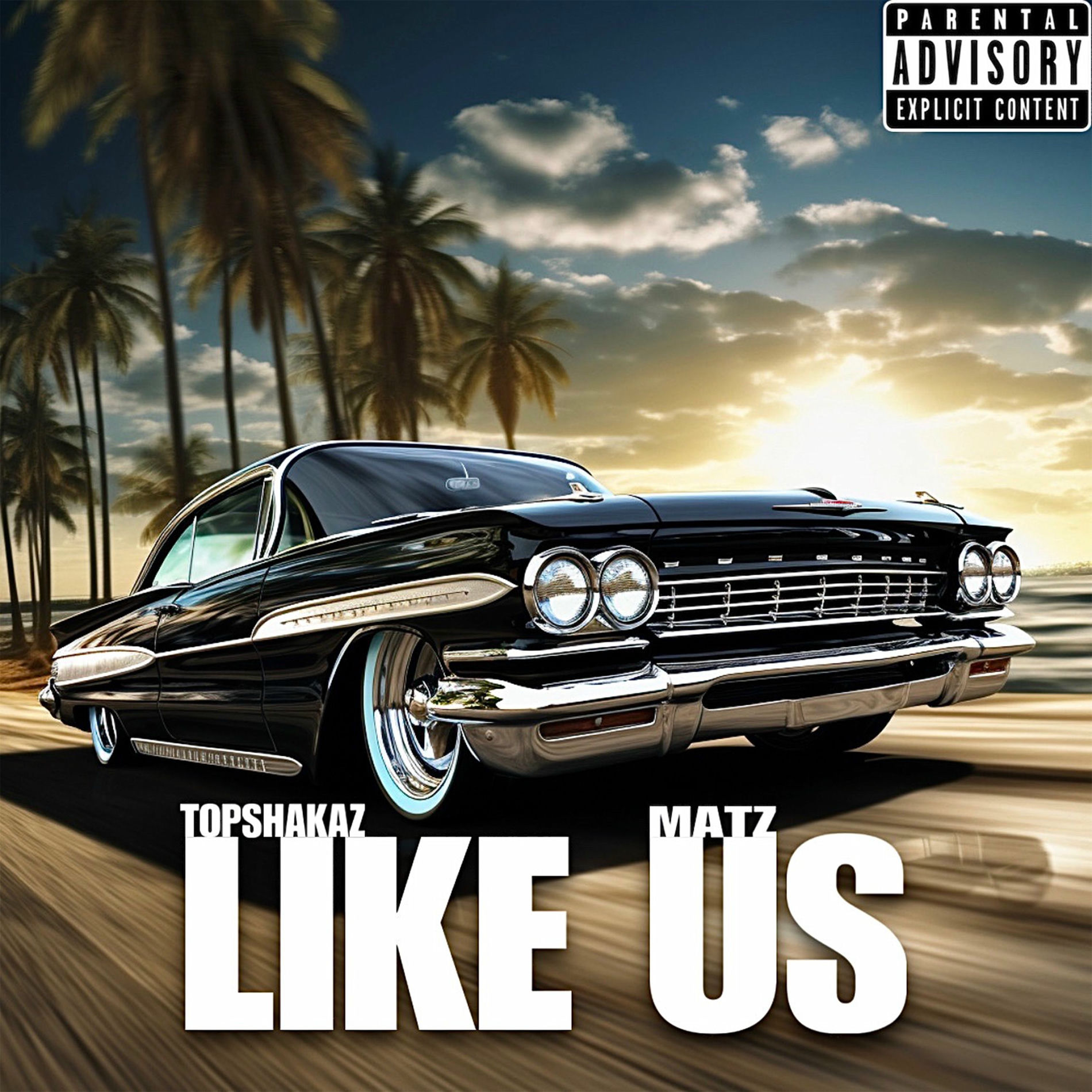 Album cover of Like Us