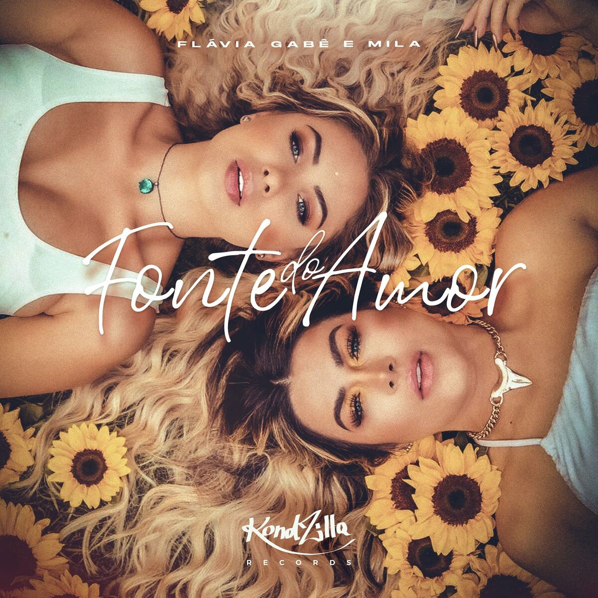 Album cover of Fonte do Amor