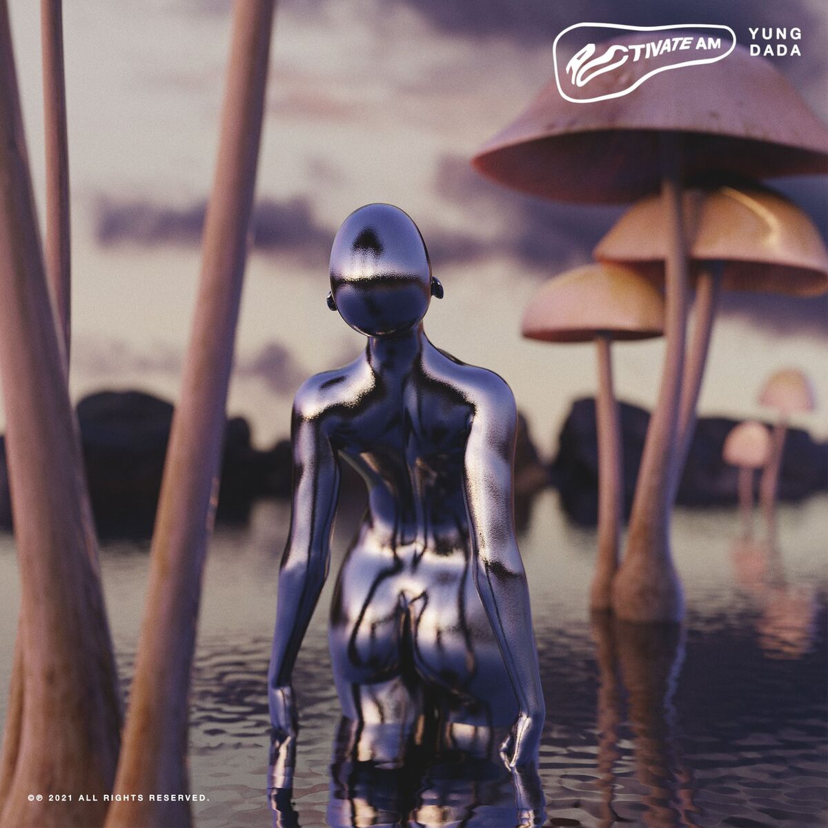 Album cover of Activate Am