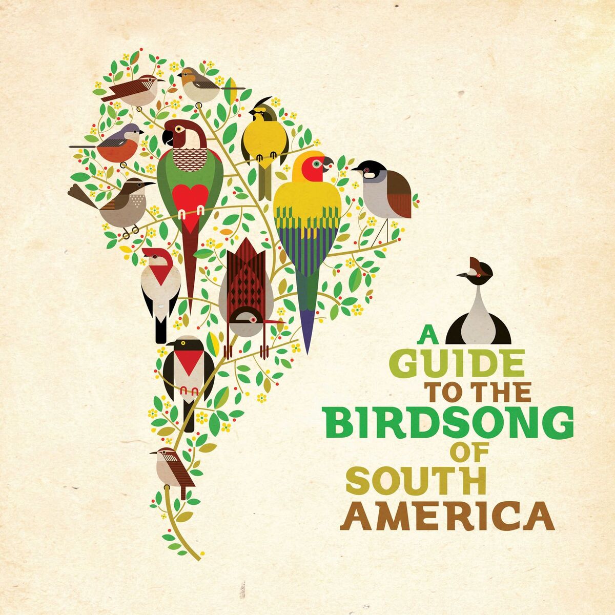 Album cover of Capuchino Pecho Blanco