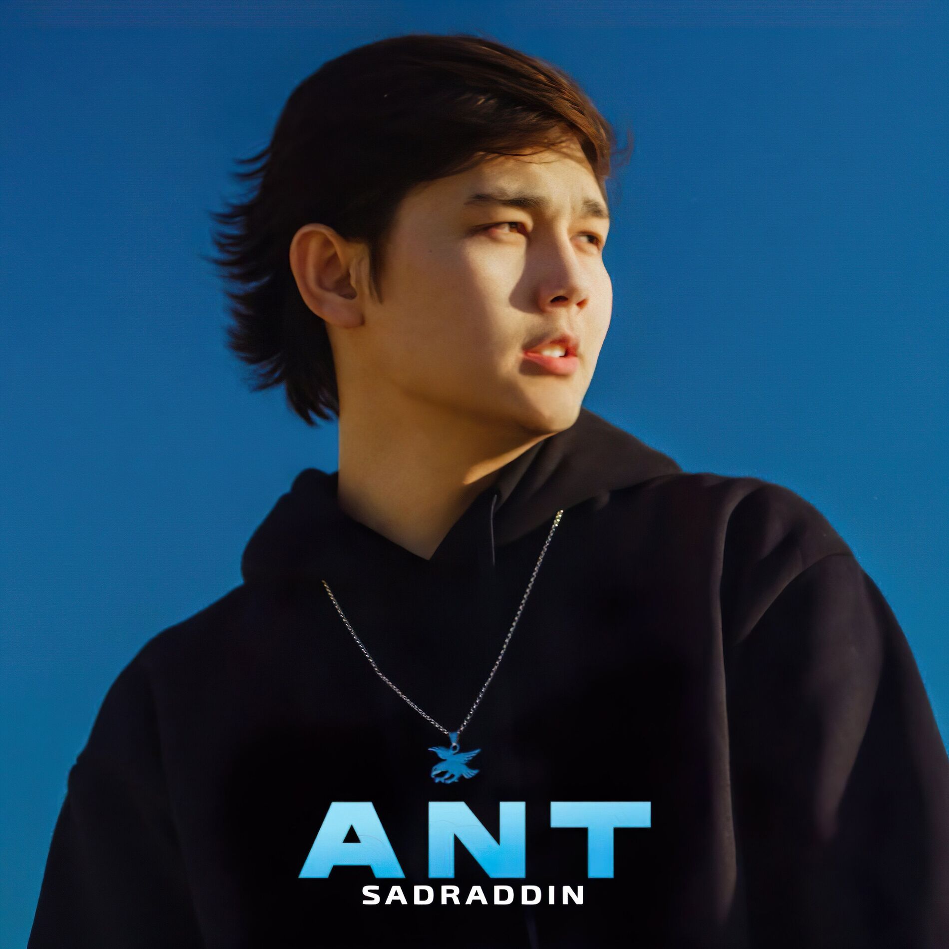 Album cover of ANT