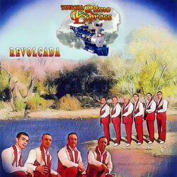 Cover of Revolcada (Cover)
