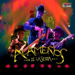 Cover of En Vivo Acordeon & Requinto