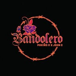 Cover of Bandolero