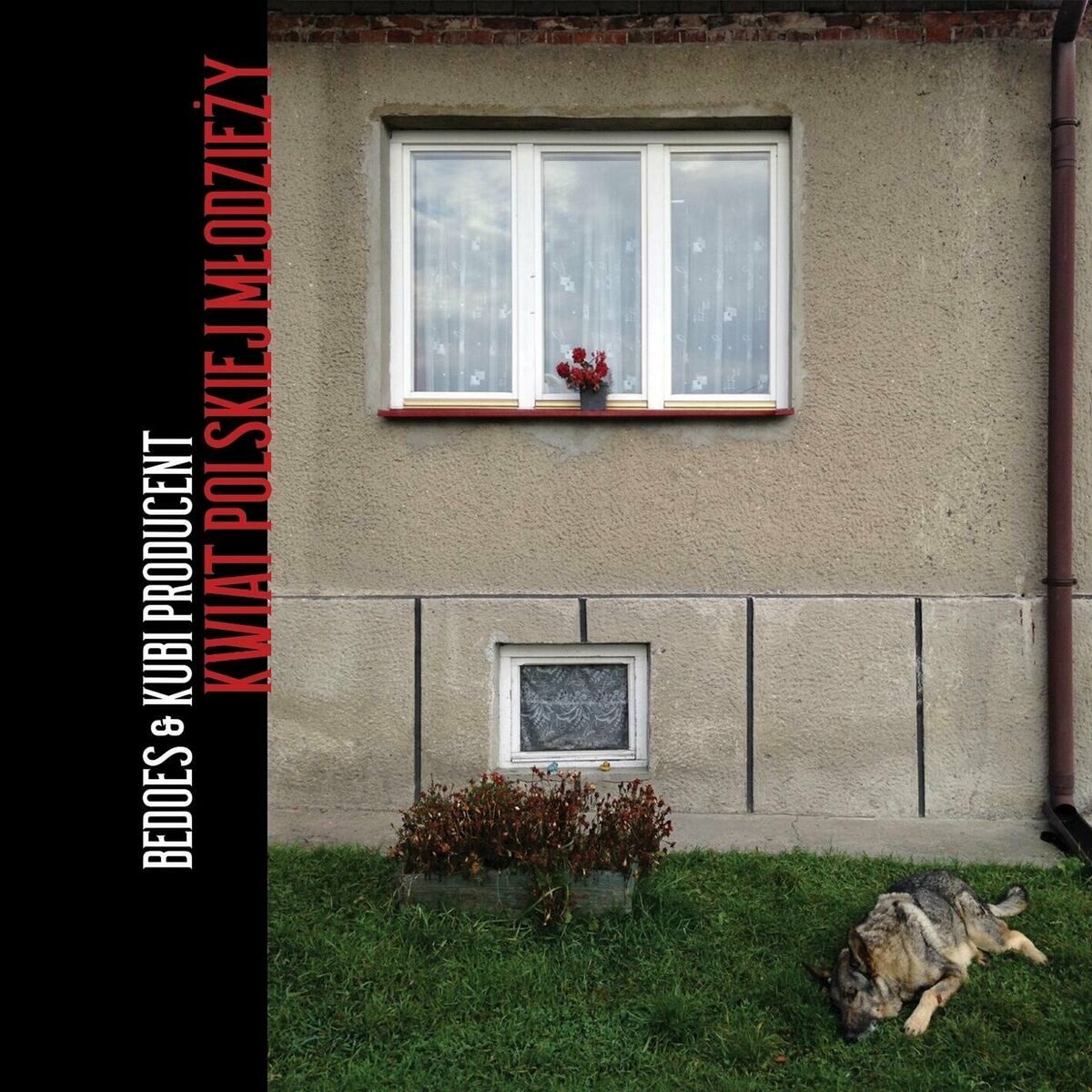 Album cover of Chłopaki nie płaczą