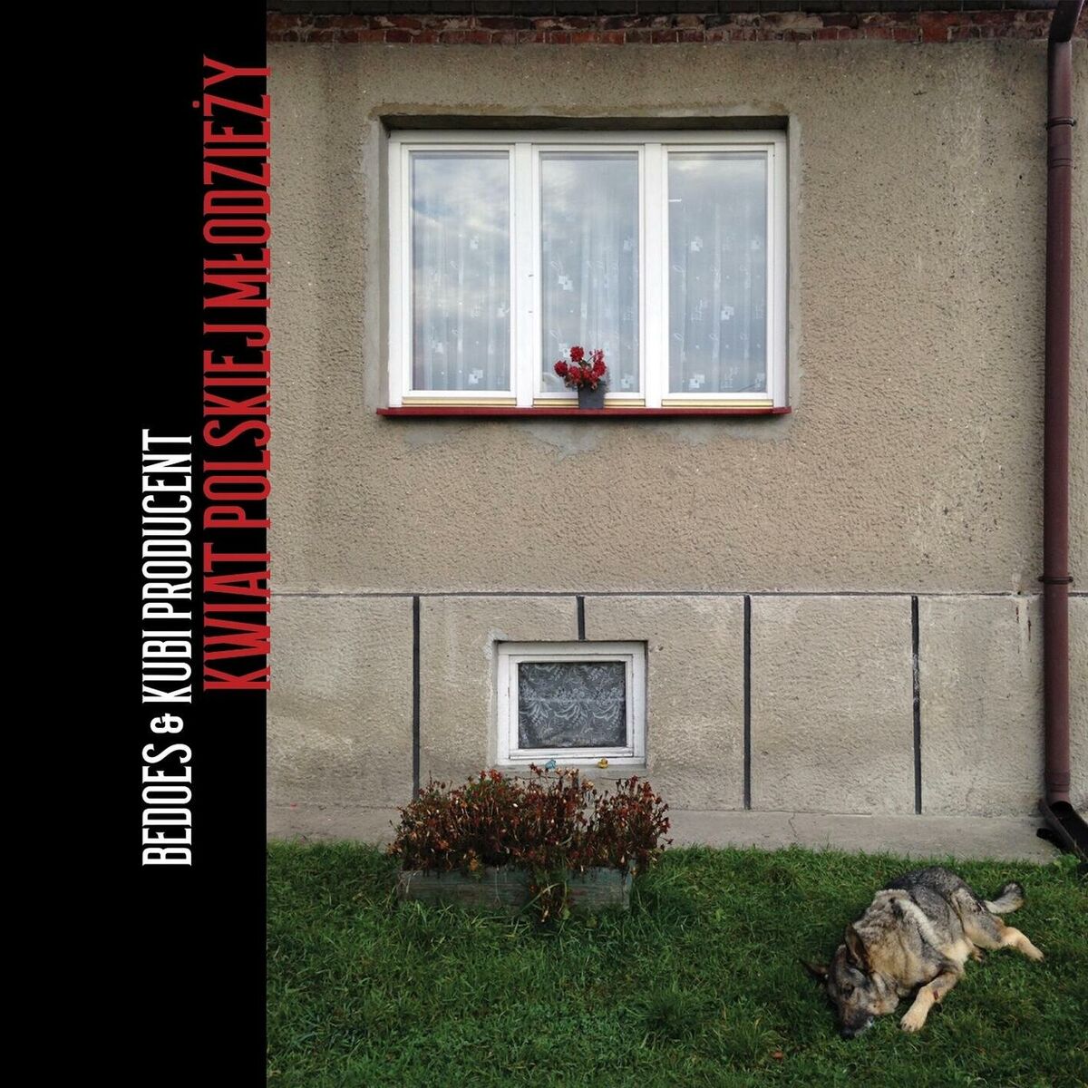 Album cover of Kwiat polskiej mlodzieży