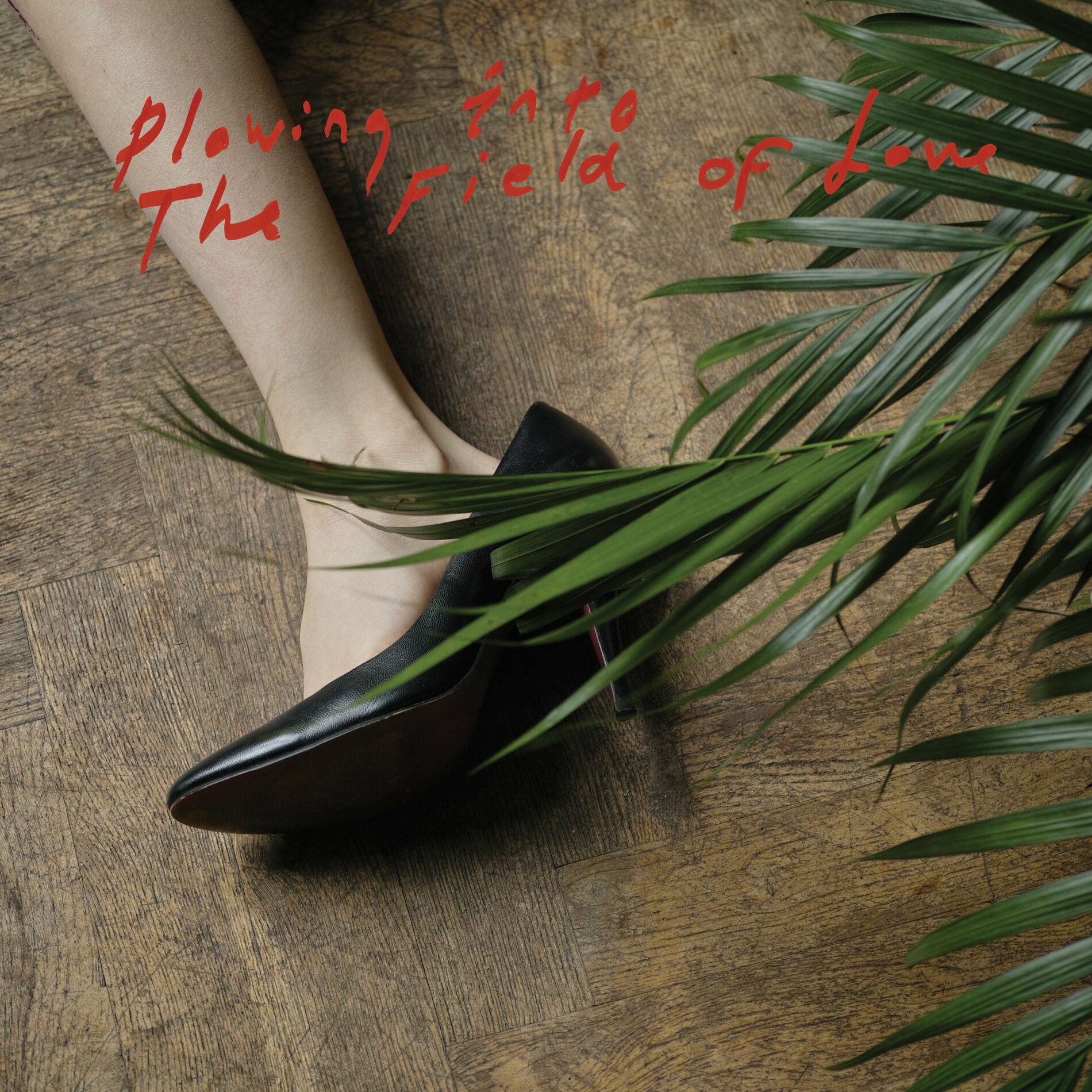 Album cover of Plowing Into the Field of Love