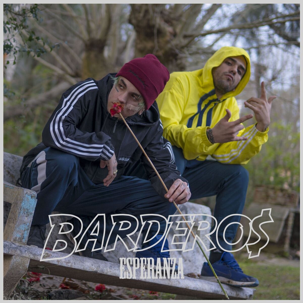 Album cover of Esperanza